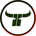 Kapfenberg Bulls Logo